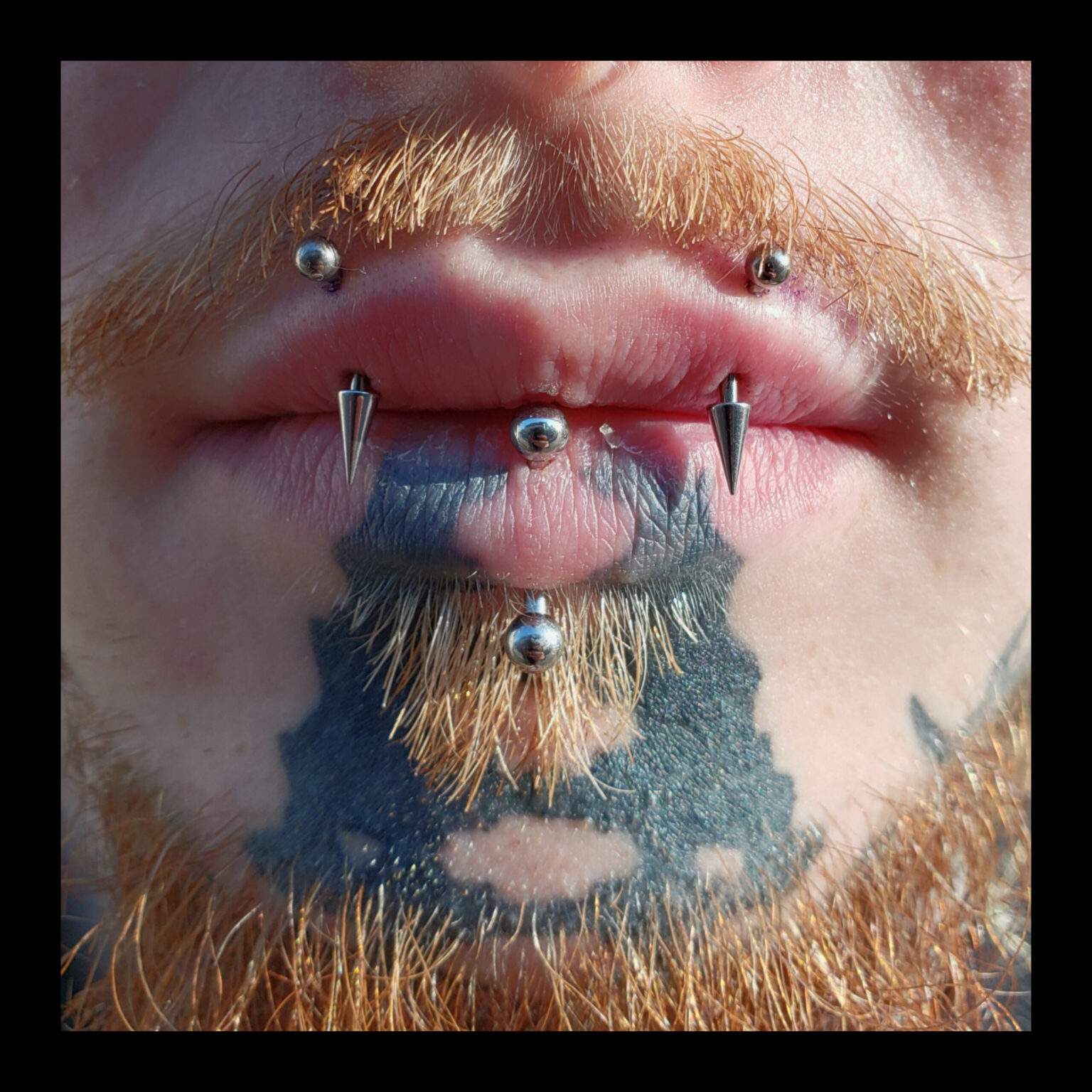 percing septum et médusa SBA France
